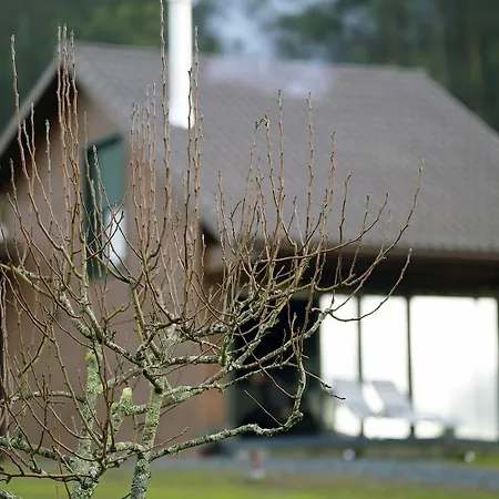 Vencello Estelar Compostela Vakantiehuis